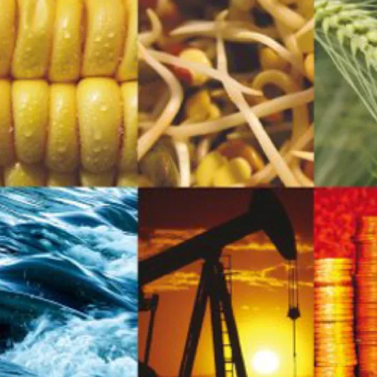 僅有兩艘貨輪經過霍爾木茲海峽，為五月以來單日最低通行量。 marineinsight.com