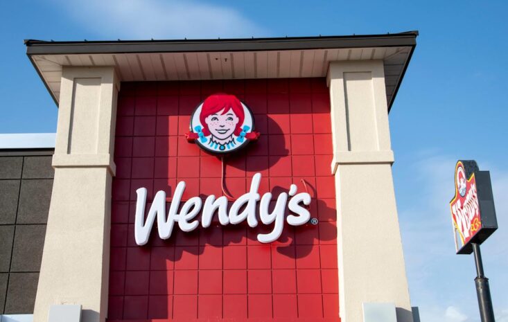 SoundHound AI 的驚人增長、The Trade Desk 的衰退與 Wendy’s 的獲利警告：本週財報季關鍵摘要