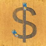 美中貿易戰如何重創明尼蘇達州的家庭農場及大豆產業