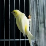 First Brands破產危機：私人信貸市場新「次貸風暴」來臨？