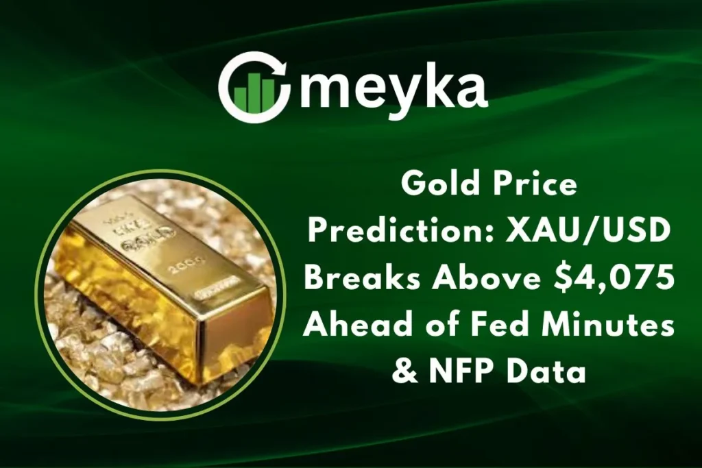 我注意到您尚未提供文章內容以生成SEO優化的標題