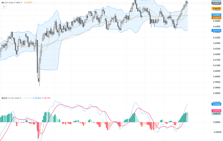 AUDUSD：測試年度高點，技術形態與交易前景解析
