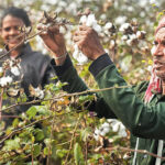 股市大震盪！特朗普近期動作如何影響金融市場走勢？
