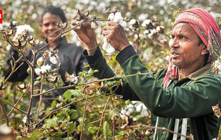 股市大震盪！特朗普近期動作如何影響金融市場走勢？