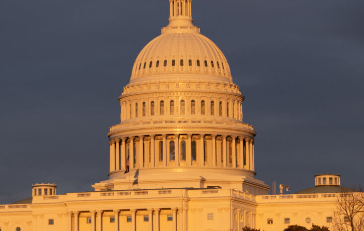 特朗普重新點燃財經舞台，市場如何反應？