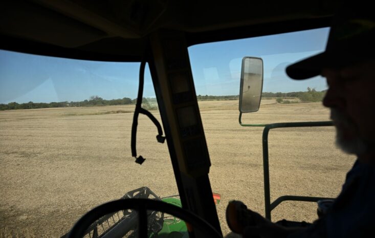 特朗普最新動態激盪市場：政治與金融交織下的投資解析