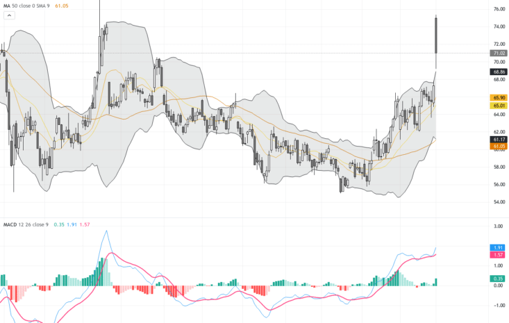 WTI原油：地緣政治推升價格，技術圖形顯示強烈反彈動能